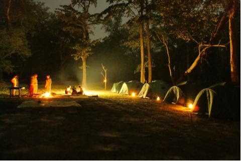 Nightout Camp at 