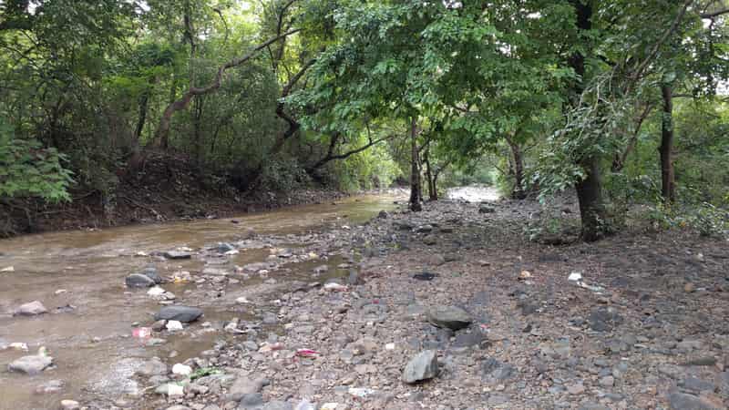 Tungareshwar, Maharashtra