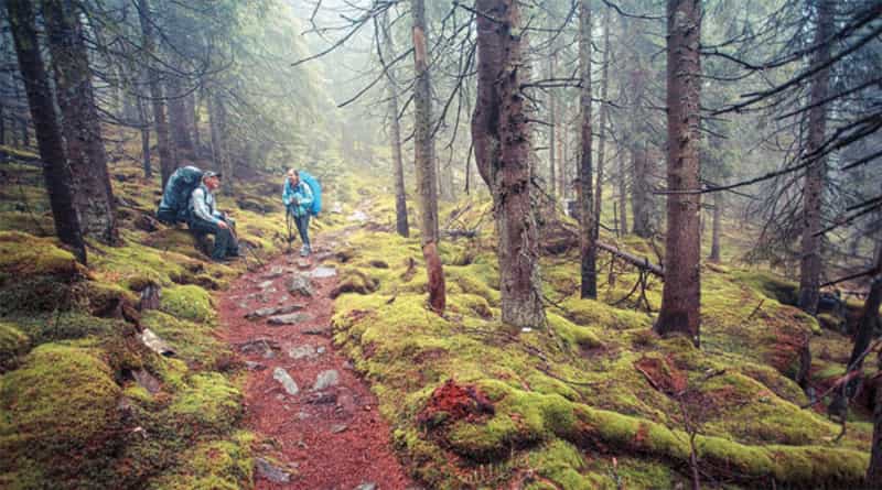 Trekking at Nainital Peak