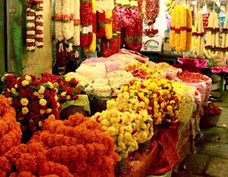 Ghazipur Flower Market