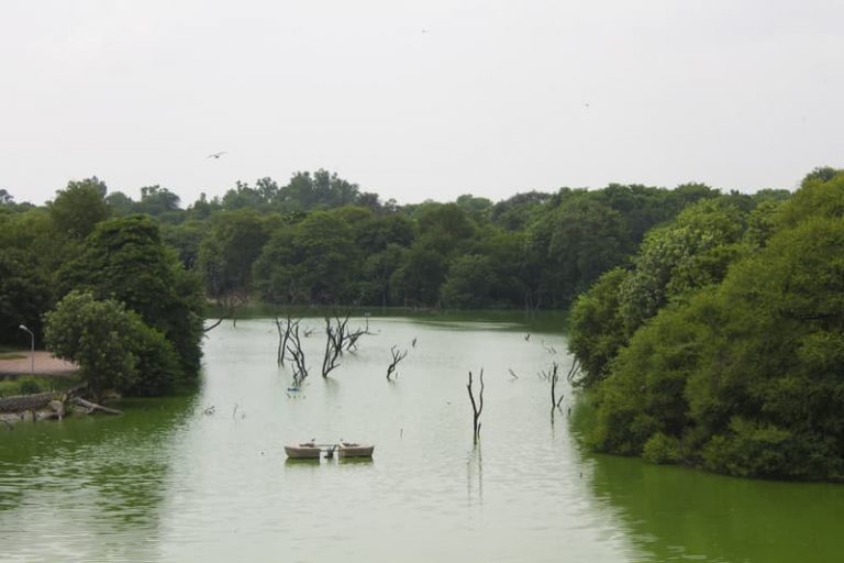 Best Lakes Near Delhi, Lakes Near Delhi