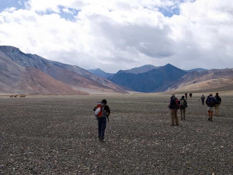 Nimaling Plateau Trek