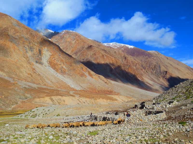 Nubra Valley Trek