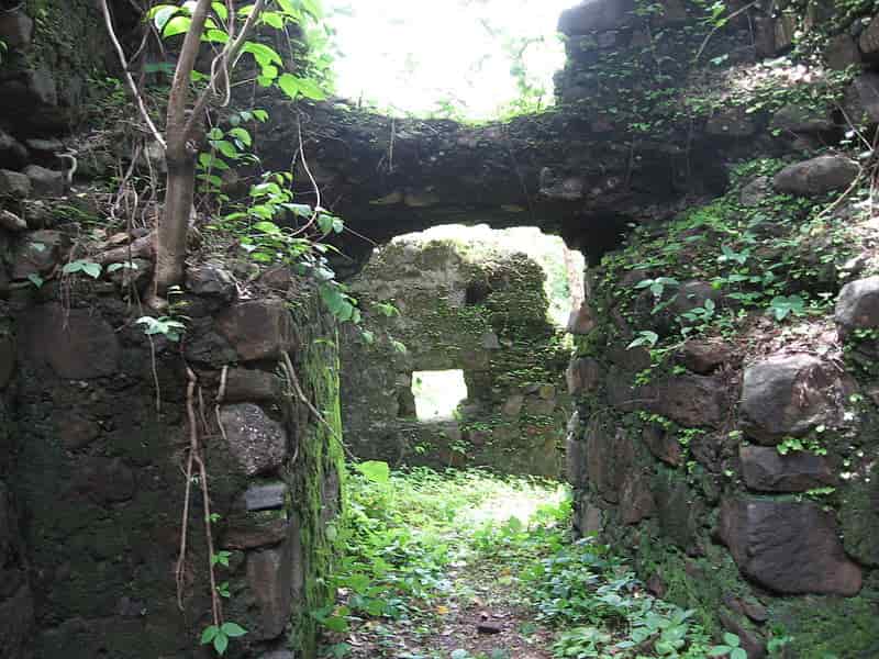 The fort enveloped in greenery