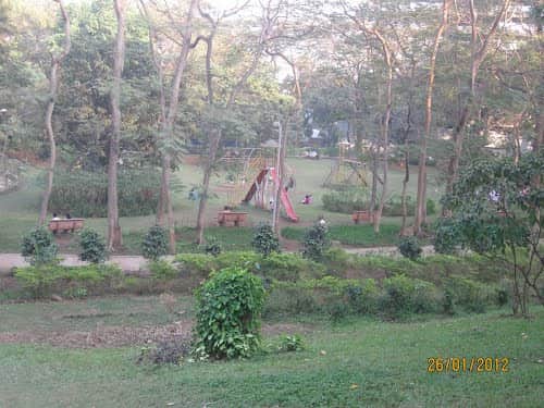 The playing area at the mango garden