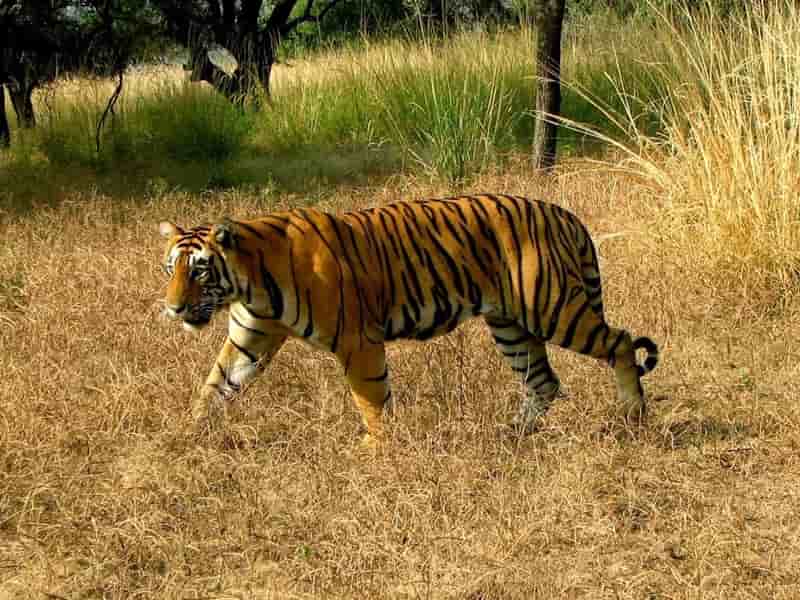 Hastinapur Wildlife Sanctuary