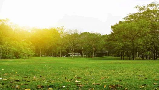 11 of the Famous Parks in Hyderabad for Getting Closer to Nature