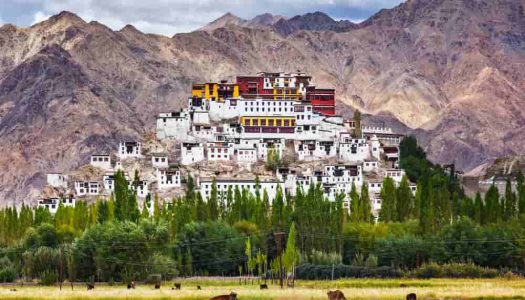 20 Perfect Places to Visit in Leh Ladakh
