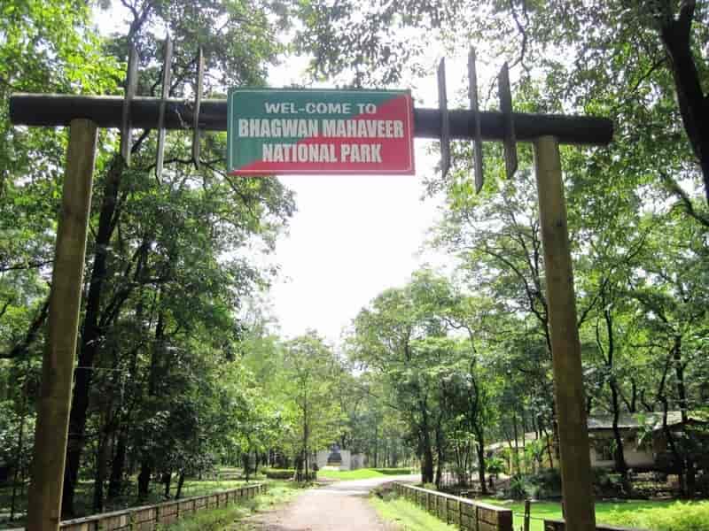Bhagwan Mahaveer National Park