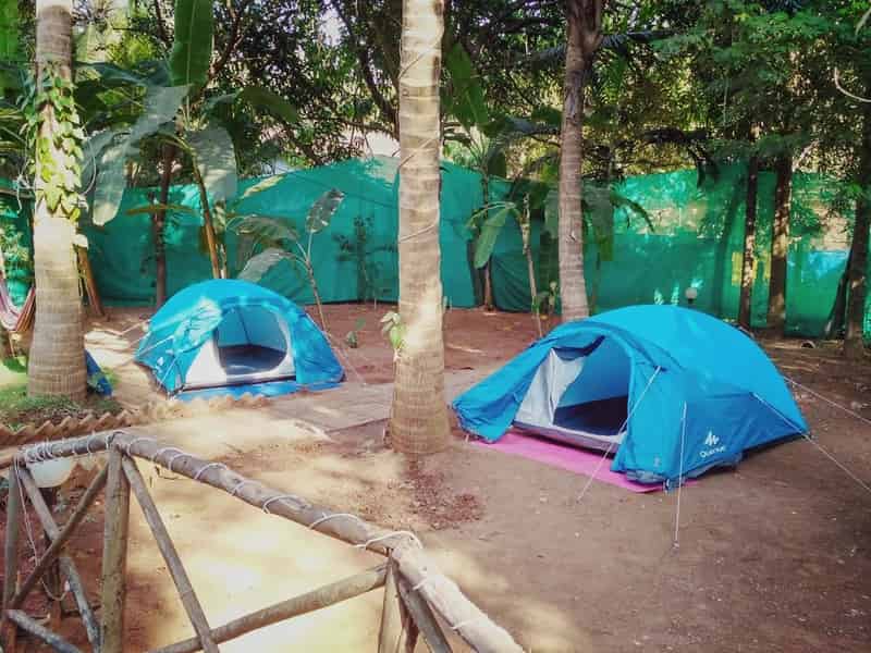 Camping in Goa