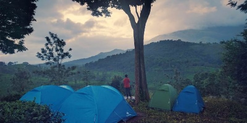 Camps at Wayanad