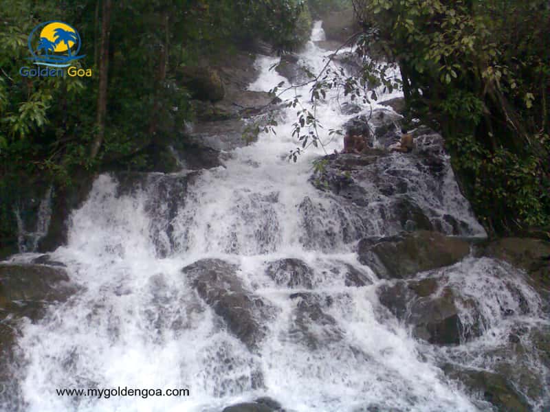 Karmalya Waterfalls