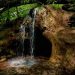 Kesarval Springs- One of the best natural springs in Goa