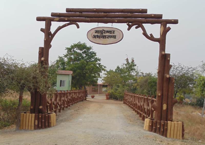  Mayureshwar Wildlife Sanctuary, Baramati
