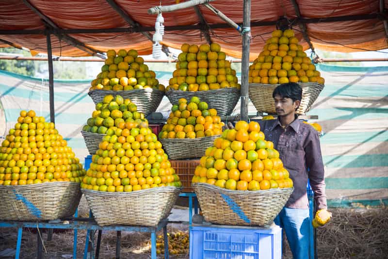 Nagpur gets its name ‘Orange City’ from its famed produce