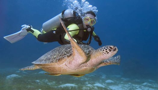13 Famous & Best Place for Scuba Diving in Goa