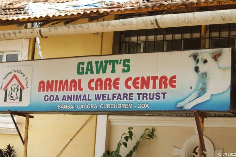 Goa Animal Welfare Trust Shop
