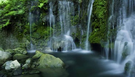 20 Majestic Waterfalls near Chennai