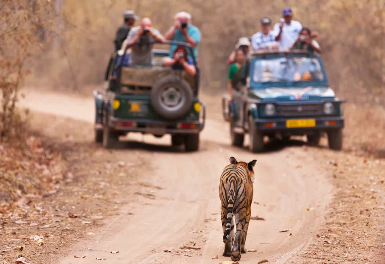Things to Do in Nagpur