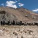 A Short Guide To Plan Your Bike Trip To Leh-Ladakh