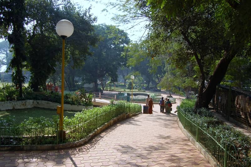 A gorgeous garden in Malabar Hill