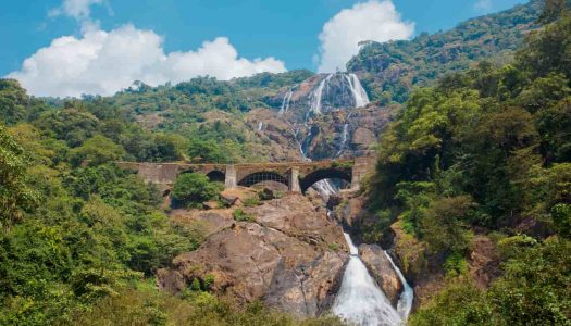 All You Need To Know About Dudhsagar Waterfalls