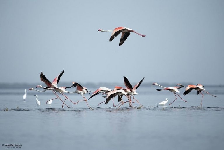 8-mesmerizing-one-day-outing-places-in-chennai-one-day-outing-places