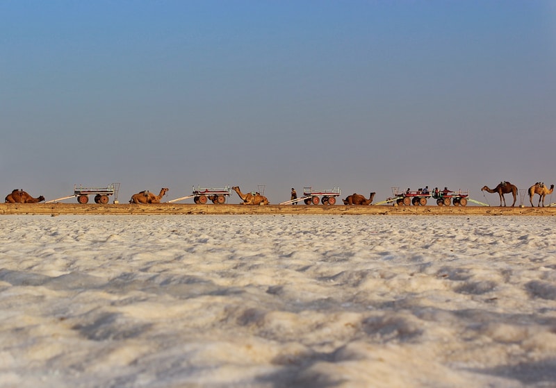 Salt flats a Kutch