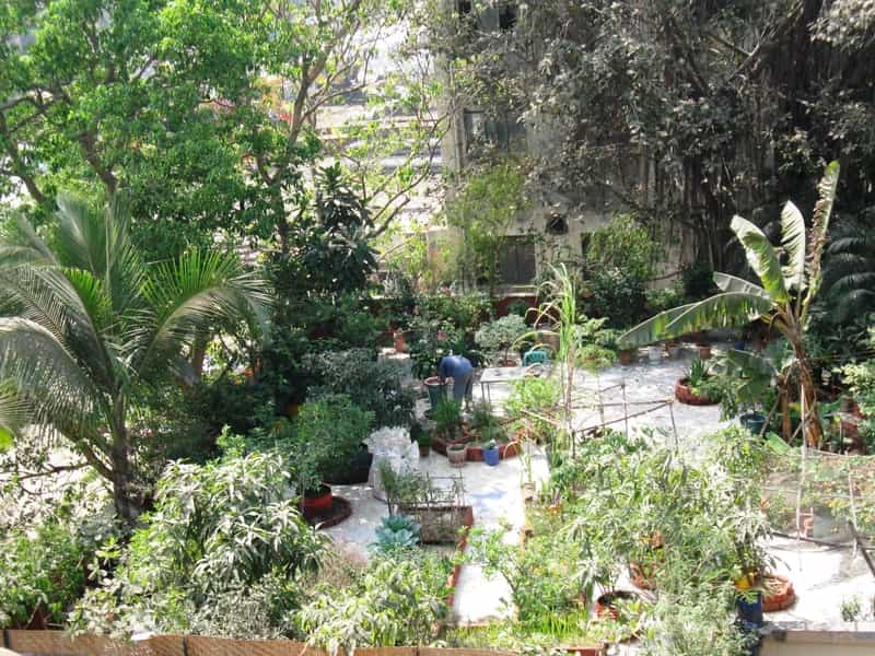 One of the most beautiful gardens in Mumbai