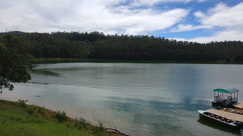 Pykara Lake, Ooty