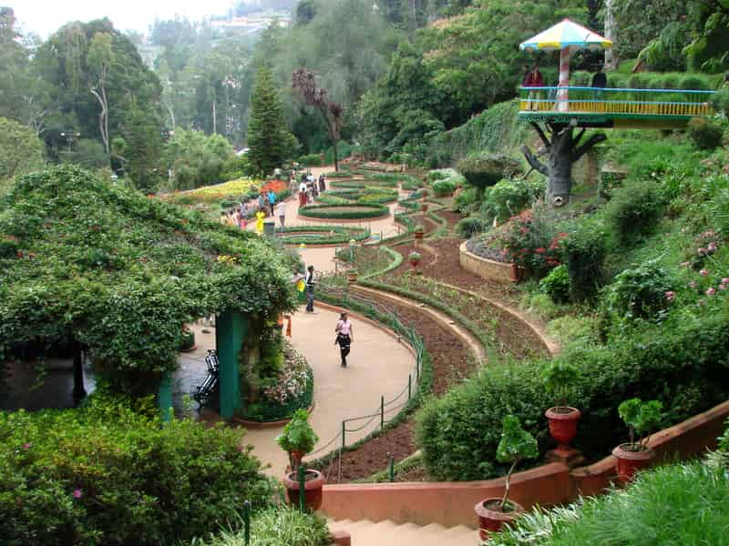 The Botanical Gardens At Ooty