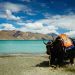 The Total Cost of a Ladakh Trip
