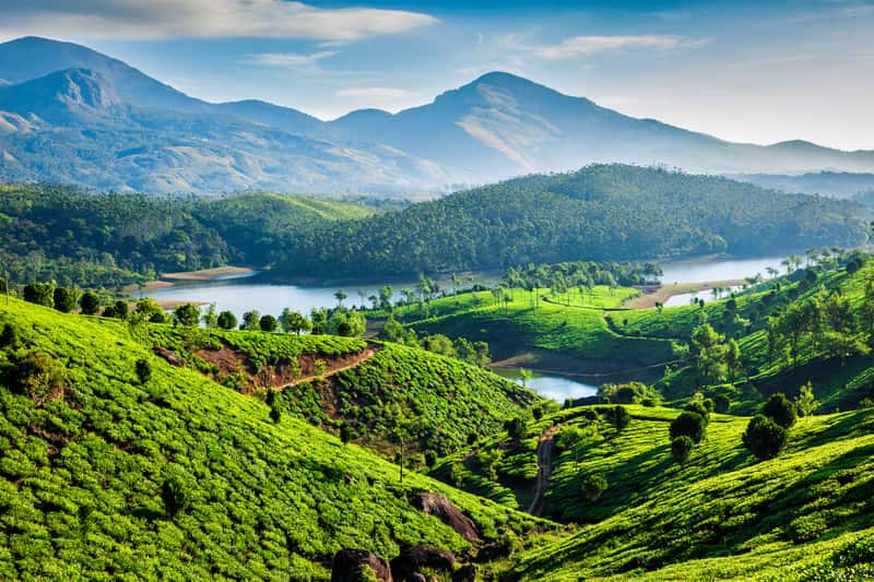 Munnar, Kerala - Best Places to Visit in March in India