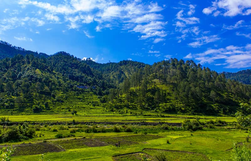 Pastoral Beauty of Ranikhet | Hill Stations in North India