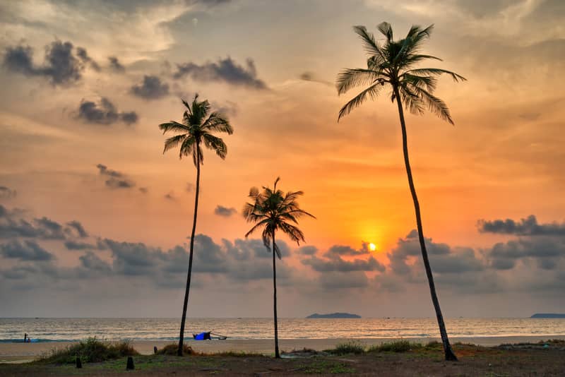 Three Palms and a Sunset at Utorda | Beaches for the Perfect Honeymoon in Goa