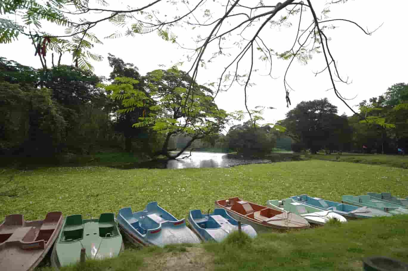 Picnic Spots Near Surat