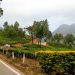 Everything You Need To Know About A Bangalore To Kerala Road Trip
