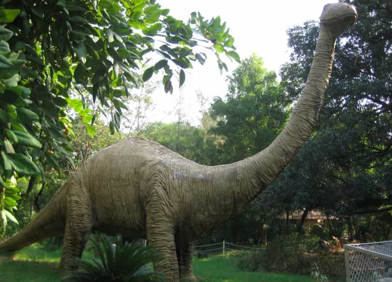 A replica of a dinosaur at Indroda Nature Park