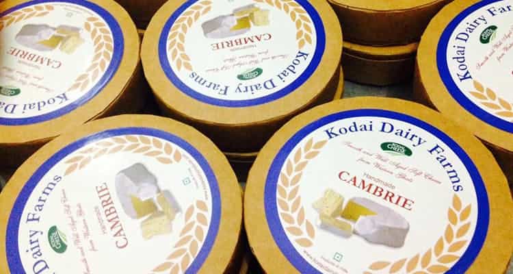  Kodai Cheese varieties