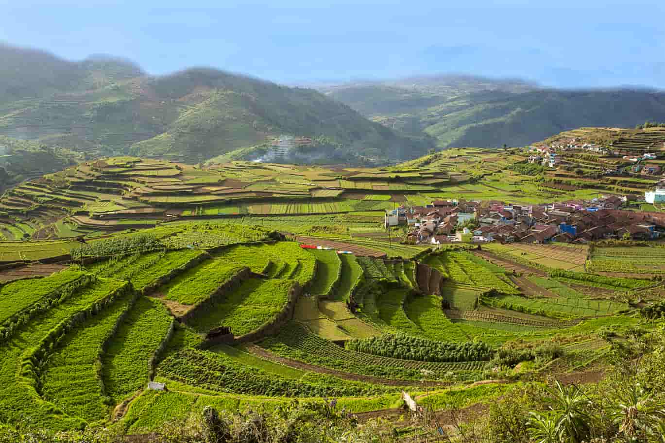 Places to Visit in Kodaikanal for One Day