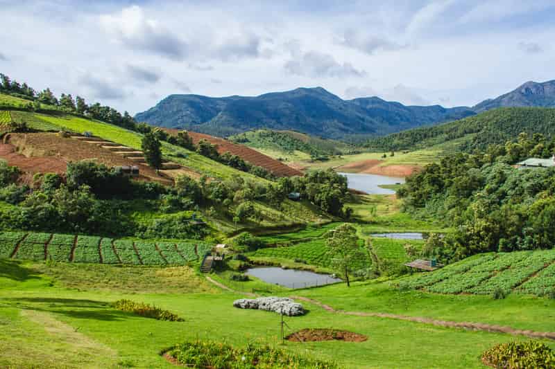 Ooty, Tamil nadu - Best Places to Visit in March in India