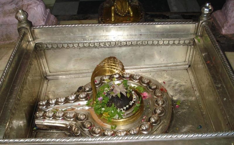 The Kashi Vishwanath