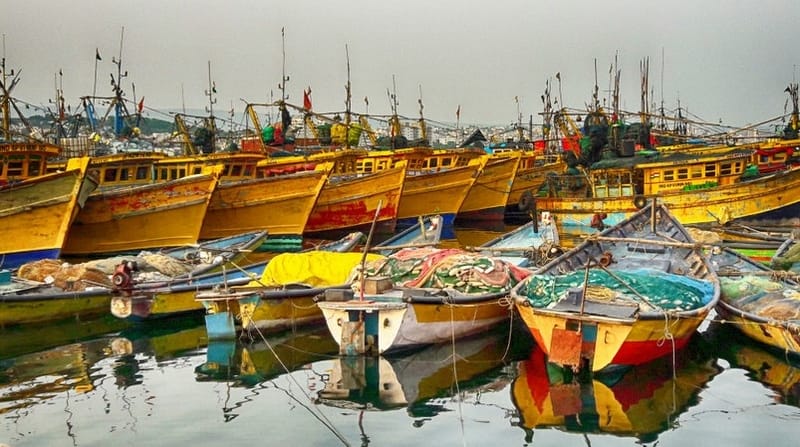 Vizag Fishing Harbour | Things to do in Vizag