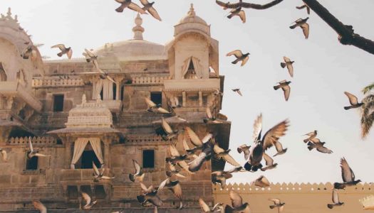 16 Best Places To See In Udaipur In One Day