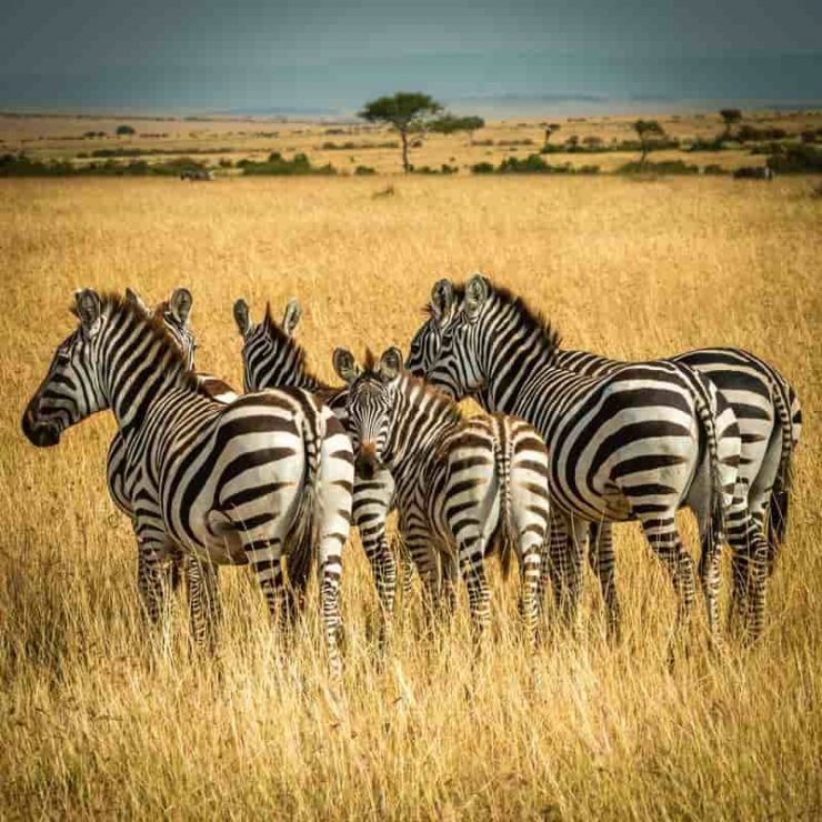 25 Cheap Foreign Trips From India Cheap International Trips From India 25-cheap-foreign-trips-from-india-cheap-international-trips-from-india