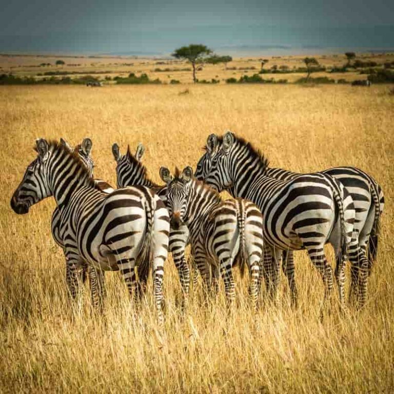 25-cheap-foreign-trips-from-india-cheap-international-trips-from-india