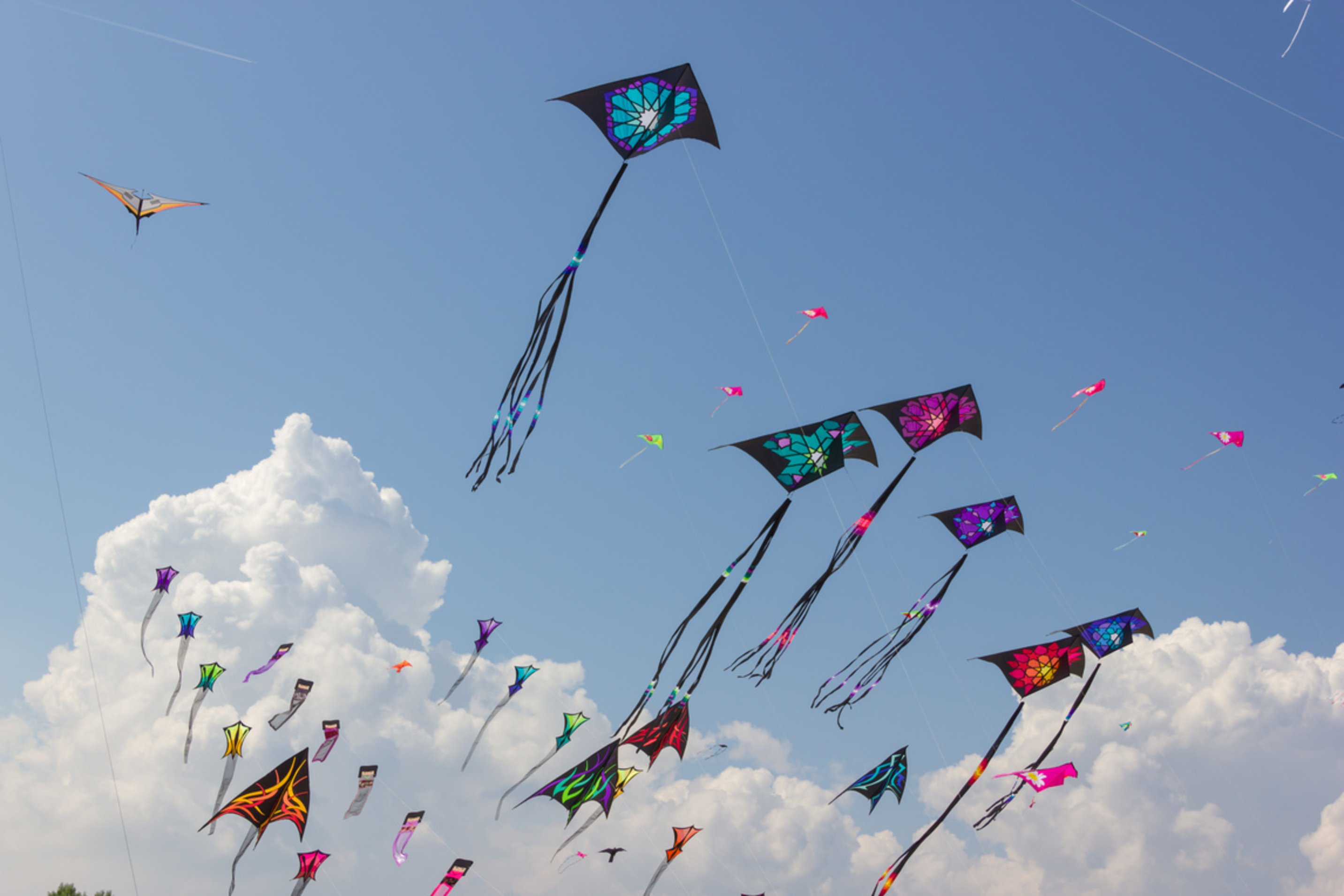 Kite Festival - Rann of Kutch