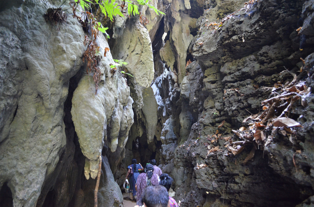 Limestone Caves, Baratang