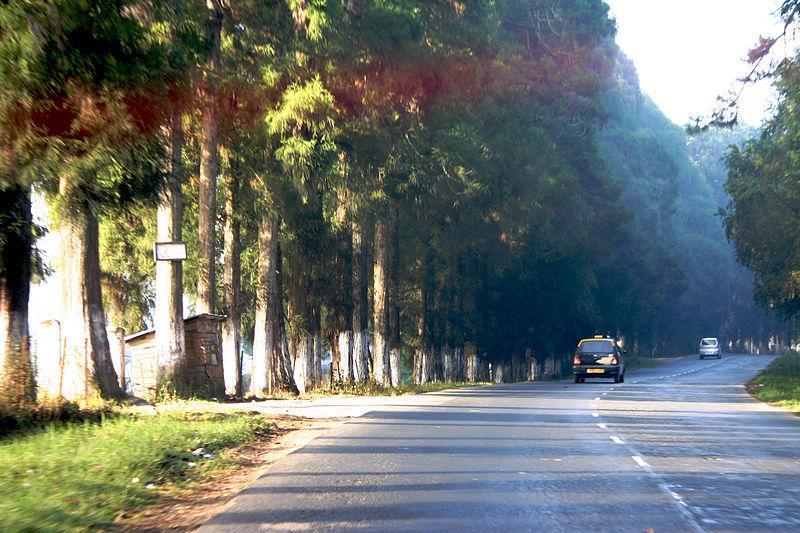 Shillong to Cherrapunji road trip