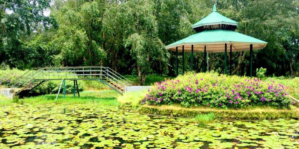Blossom International Park - Things to do in Munnar